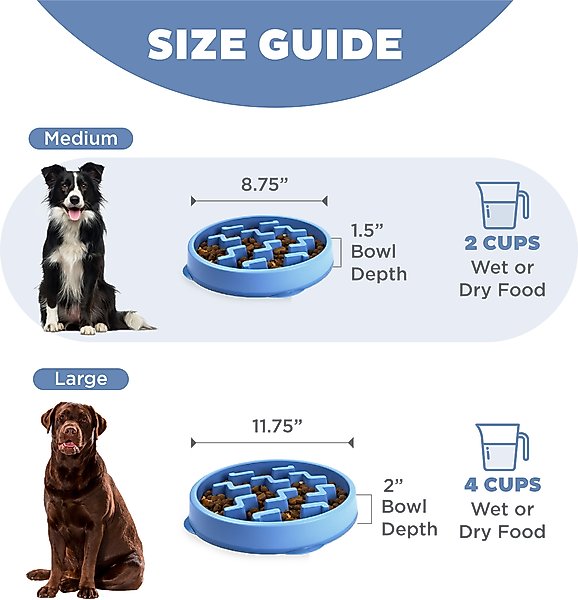 Outward Hound Fun Feeder Slow Feeder Dog Bowl