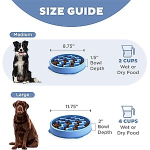 Outward Hound Fun Feeder Slow Feeder Dog Bowl, Blue, 2-cup
