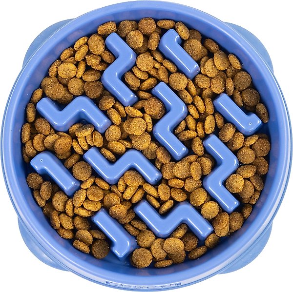Outward Hound Fun Feeder Slow Feeder Dog Bowl