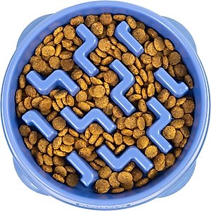 Outward Hound Fun Feeder Slow Feeder Dog Bowl, Blue, 2-cup