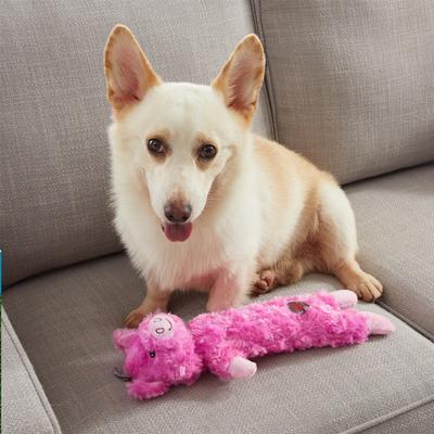 Show full view: Outward Hound Lil Dudes Pig Squeaky Plush Dog Toy slide 6 of 9