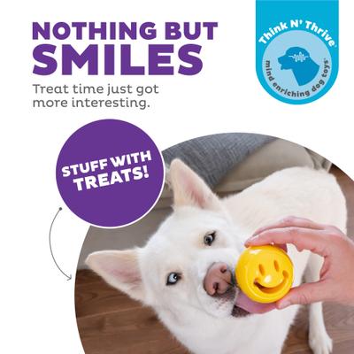 Show full view: Outward Hound Orbee-Tuff Nooks Treat Dispensing Tough Dog Chew Toy, Happiness slide 3 of 13