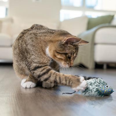 Show full view: Catstages Nighttime Bug Cat Toy with Catnip slide 7 of 11