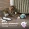 Show in main carousel: Catstages Nighttime Bug Cat Toy with Catnip slide 6 of 11