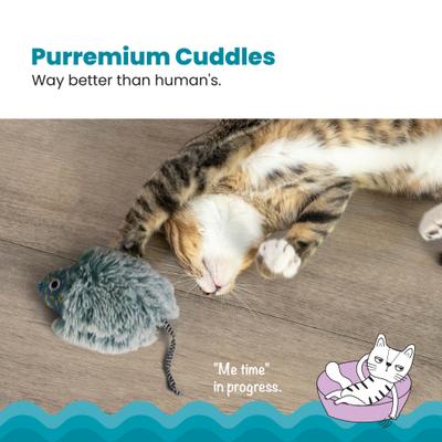 Show full view: Catstages Nighttime Bug Cat Toy with Catnip slide 2 of 11