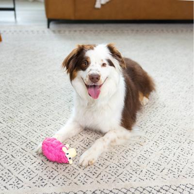 Show full view: Outward Hound Tootiez Squeaky Stuffing-Free Dog Toy, Sheep slide 6 of 10