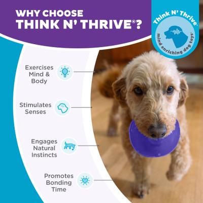 Show full view: Outward Hound Orbee-Tuff Lil Snoop Treat Dispensing Tough Dog Chew Toy, Purple slide 6 of 13