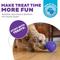 Show in main carousel: Outward Hound Orbee-Tuff Lil Snoop Treat Dispensing Tough Dog Chew Toy, Purple slide 2 of 13