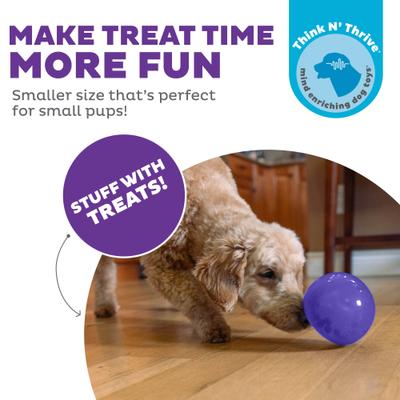 Show full view: Outward Hound Orbee-Tuff Lil Snoop Treat Dispensing Tough Dog Chew Toy, Purple slide 2 of 13
