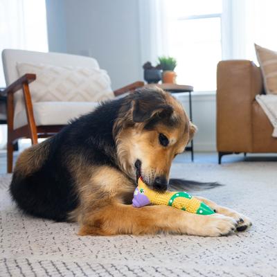 Show full view: Outward Hound Squawkers Grandma Hippie Chick Squeaky Latex Dog Toy slide 6 of 9