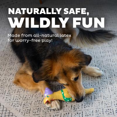 Show full view: Outward Hound Squawkers Grandma Hippie Chick Squeaky Latex Dog Toy slide 5 of 9