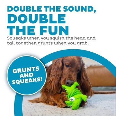 Show full view: Outward Hound Accordionz Gator Stuffing-Free Squeaky Dog Toy slide 3 of 9