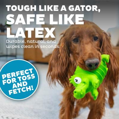 Show full view: Outward Hound Accordionz Gator Stuffing-Free Squeaky Dog Toy slide 5 of 9