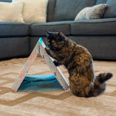 Show full view: Catstages Fold Away Cat Tunnel Toy slide 8 of 11