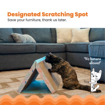 Show full view: Catstages Fold Away Cat Tunnel Toy slide 7 of 11