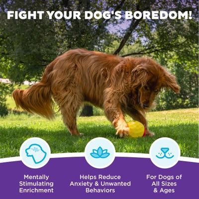 Show full view: Nina Ottosson by Outward Hound Treat Tumble Puzzle Game Dog Toy, Large slide 3 of 10