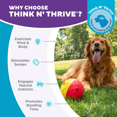 Show full view: Nina Ottosson by Outward Hound Treat Tumble Puzzle Game Dog Toy, Large slide 6 of 10