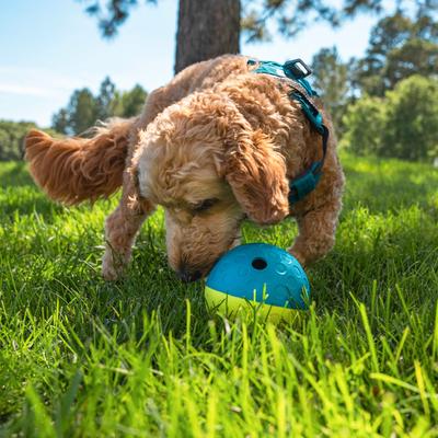 Show full view: Nina Ottosson by Outward Hound Treat Tumble Puzzle Game Dog Toy, Small slide 8 of 10