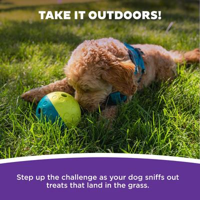 Show full view: Nina Ottosson by Outward Hound Treat Tumble Puzzle Game Dog Toy, Small slide 5 of 10