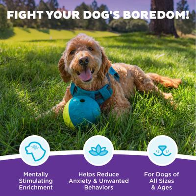 Show full view: Nina Ottosson by Outward Hound Treat Tumble Puzzle Game Dog Toy, Small slide 3 of 10