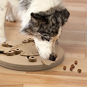 Nina Ottosson by Outward Hound Hide N' Slide Puzzle Game Dog Toy, Medium