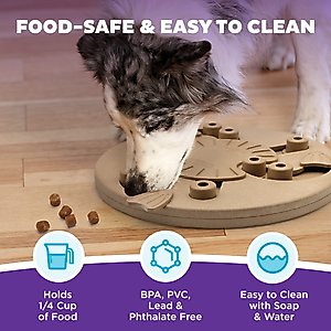 Nina Ottosson by Outward Hound Hide N' Slide Puzzle Game Dog Toy, Medium