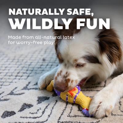 Show full view: Outward Hound Squawkers Squeaky Latex Dog Toy slide 4 of 10