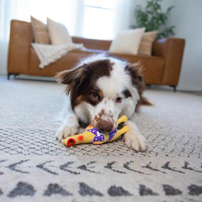 Show full view: Outward Hound Squawkers Squeaky Latex Dog Toy slide 5 of 10