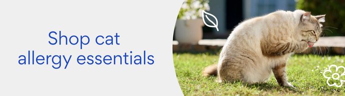 Shop cat allergy essentials