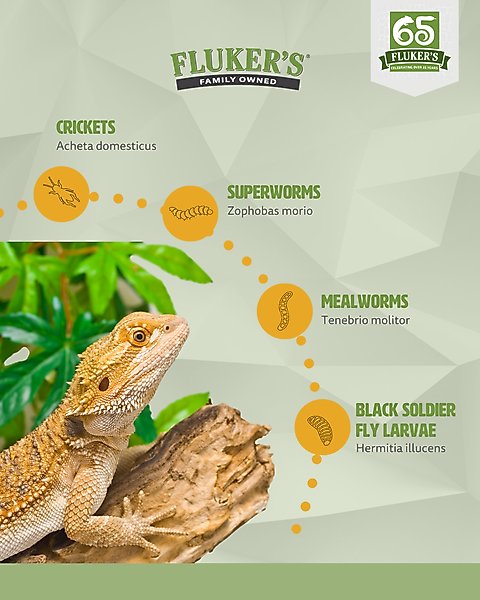 Show full view: Fluker's Live Crickets Reptile Food, Large, 500 count slide 8 of 10
