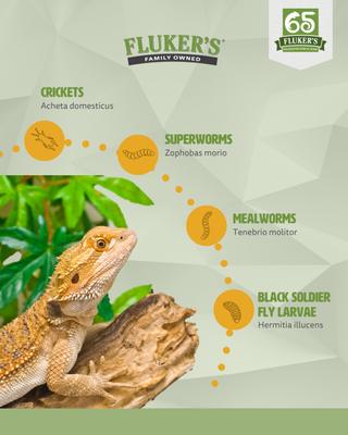 Show full view: Fluker's Live Crickets Reptile Food, Medium, 1000 count slide 8 of 10