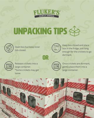 Show full view: Fluker's Live Crickets Reptile Food, Medium, 1000 count slide 6 of 10