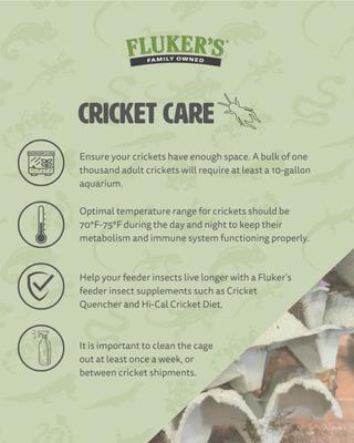 Fluker's Live Crickets Reptile Food