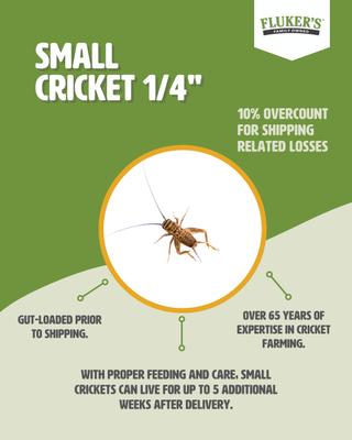 Fluker's Live Crickets Reptile Food