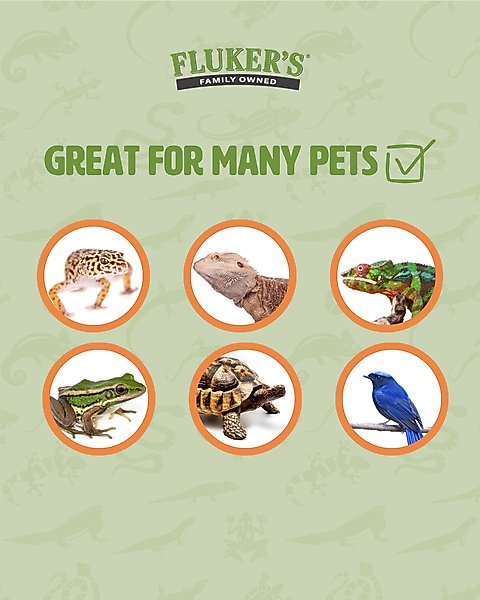 Show full view: Fluker's Live Crickets Reptile Food, Large, 500 count slide 4 of 10