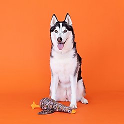 Fringe Studio Duck Duck Boom Plush Dog Toy, Multi slide 2 of 3