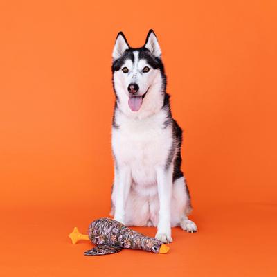 Show full view: Fringe Studio Duck Duck Boom Plush Dog Toy, Multi slide 3 of 4