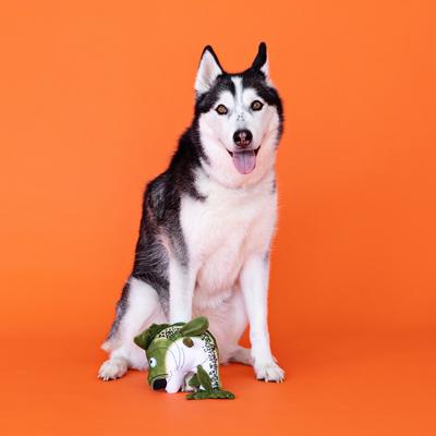 Show full view: Fringe Studio Here Fishy Fishy Plush Dog Toy, Multi slide 3 of 4