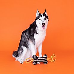 Fringe Studio Camo Up America Plush Dog Toy, Multi slide 2 of 3