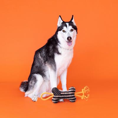 Show full view: Fringe Studio Camo Up America Plush Dog Toy, Multi slide 4 of 5