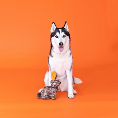 Show full view: Fringe Studio I'm Hiding Plush Dog Toy, Multi slide 4 of 5