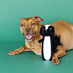 Fringe Studio Stinkin' Cute Plush Dog Toy, Multi slide 2 of 3