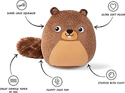 Fringe Studio The Dam Boss Plush Dog Toy, Multi slide 2 of 3