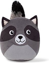 Fringe Studio Rocky Raccoon Plush Dog Toy, Multi