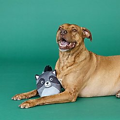 Fringe Studio Rocky Raccoon Plush Dog Toy, Multi slide 2 of 3