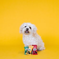 Fringe Studio Howling Hot Sauce 3Pc Sml Dog Toyset, Multi slide 2 of 3