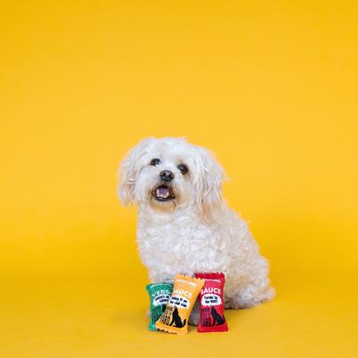 Show full view: Fringe Studio Howling Hot Sauce 3Pc Sml Dog Toyset, Multi slide 3 of 4