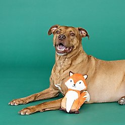 Fringe Studio Farrah Fox Plush Dog Toy, Multi slide 2 of 3