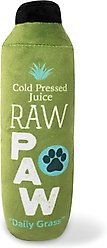 Fringe Studio Raw Paw Pressed Juice Plush Dog Toy, Multi