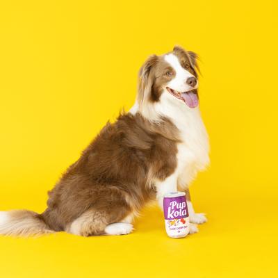 Show full view: Fringe Studio Pup Kola Plush Dog Toy, Multi slide 3 of 4